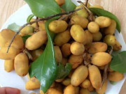 Tin tức - Loại quả xưa chín rụng không ai hái nay được ưa chuộng, là đặc sản chị em thành phố tìm mua, 40.000đồng/kg