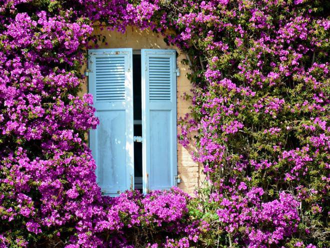 Ảnh: Camille Moirenc/Getty Images.