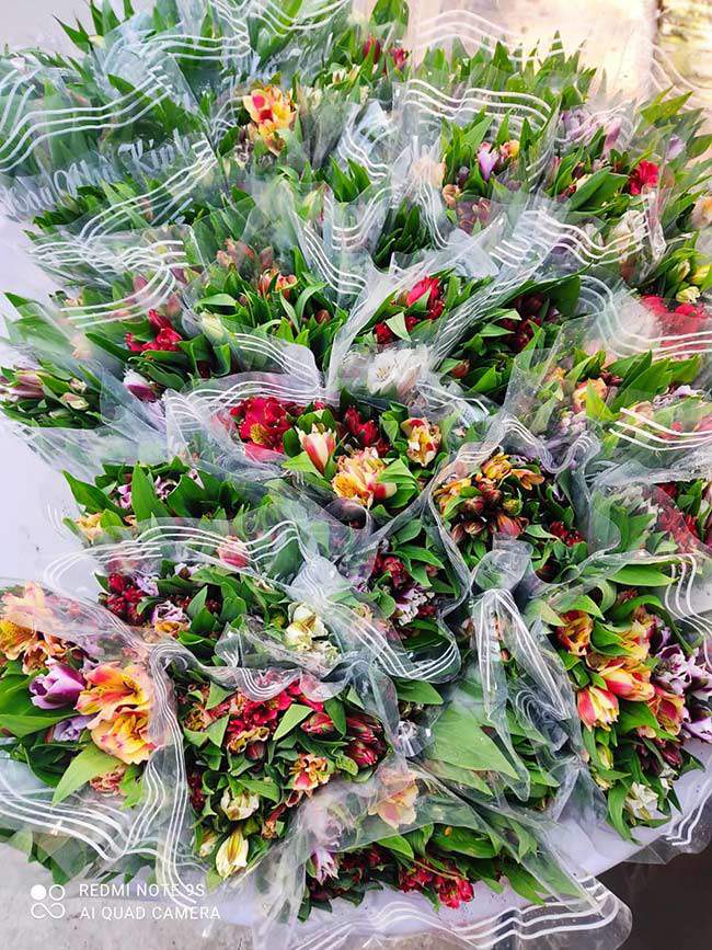 Hoa thủy tiên đang là hot trend, được bán nhiều trên chợ mạng