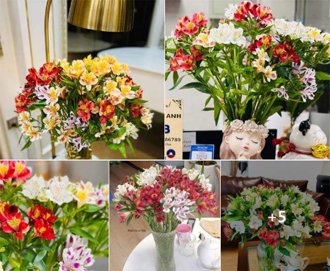 amp;#34;Cơn sốtamp;#34; cắm loại hoa vừa lạ vừa rẻ, mix màu sặc sỡ, chỉ 45.000 đồng/bó đẹp kiều diễm chị em mê mẩn - 7