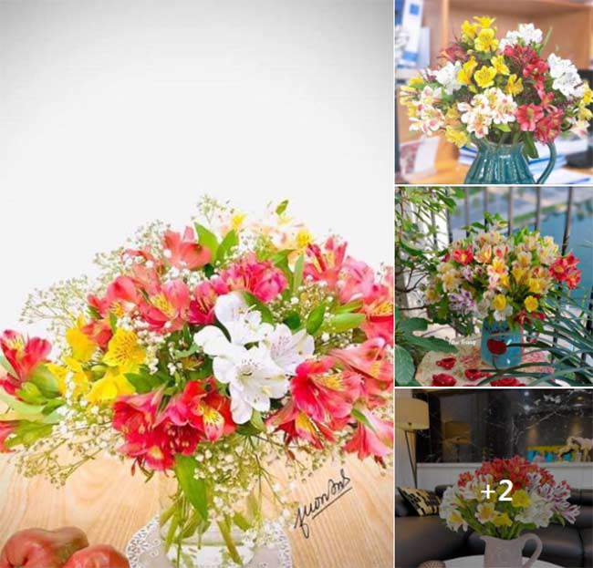 amp;#34;Cơn sốtamp;#34; cắm loại hoa vừa lạ vừa rẻ, mix màu sặc sỡ, chỉ 45.000 đồng/bó đẹp kiều diễm chị em mê mẩn - 8