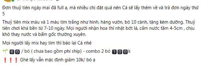 amp;#34;Cơn sốtamp;#34; cắm loại hoa vừa lạ vừa rẻ, mix màu sặc sỡ, chỉ 45.000 đồng/bó đẹp kiều diễm chị em mê mẩn - 9