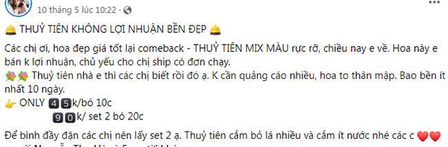 Một số bài đăng bán hoa thủy tiên online.