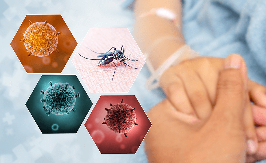 Can a child with dengue fever infect others?  - 4