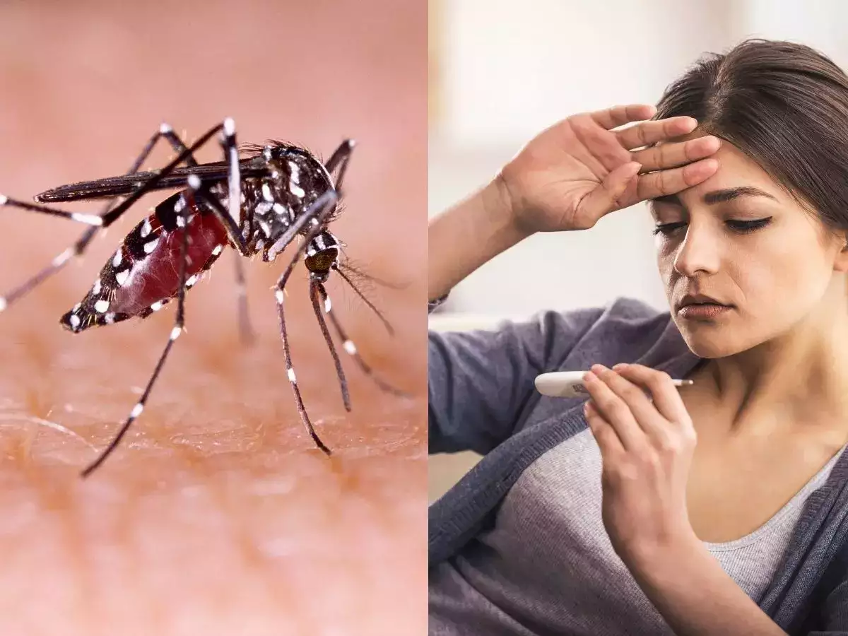 Can a child with dengue fever infect others?  - 3