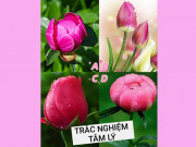 Eva tám - Trắc nghiệm tâm lý: Chọn một bông hoa sắp nở để biết tin vui sẽ đến với bạn