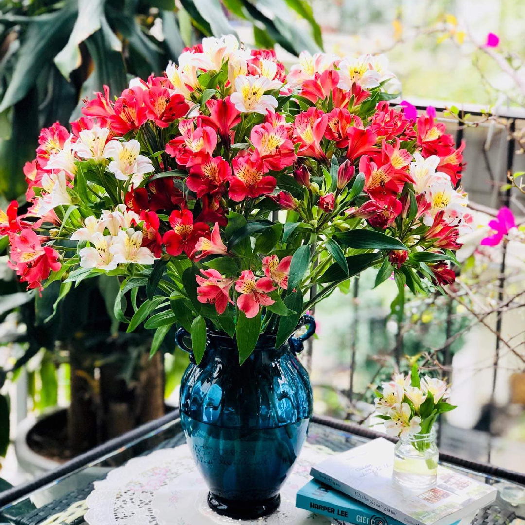 amp;#34;Cơn sốtamp;#34; cắm loại hoa vừa lạ vừa rẻ, mix màu sặc sỡ, chỉ 45.000 đồng/bó đẹp kiều diễm chị em mê mẩn - 3