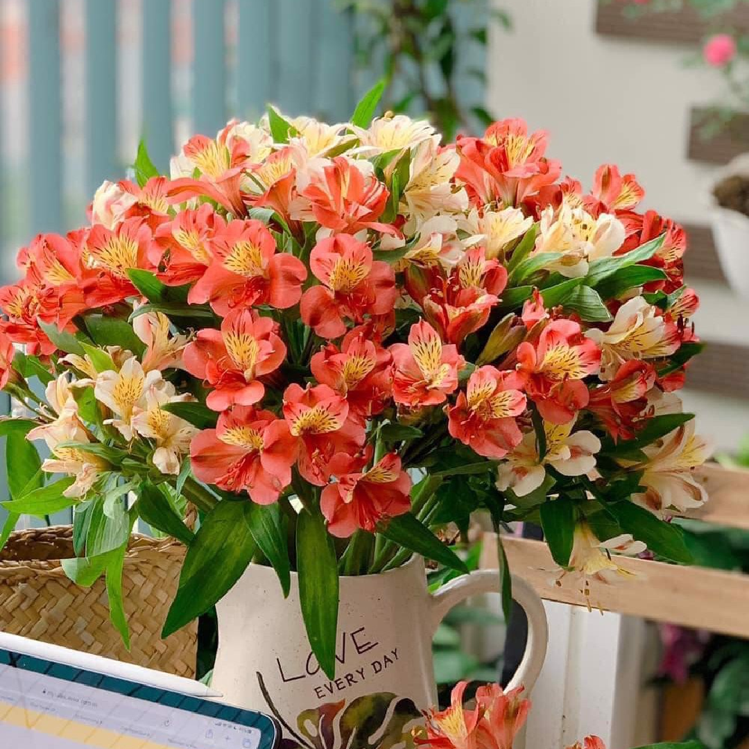 Những bình hoa thủy tiên xinh xắn được các chị em trổ tài cắm tại nhà.