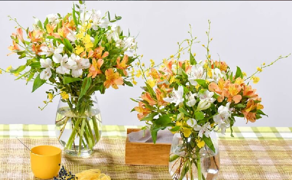 amp;#34;Cơn sốtamp;#34; cắm loại hoa vừa lạ vừa rẻ, mix màu sặc sỡ, chỉ 45.000 đồng/bó đẹp kiều diễm chị em mê mẩn - 6