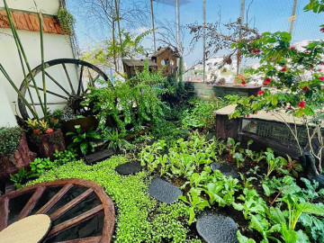 Vườn sân thượng đẹp như cổ tích của cô giáo dạy nấu ăn