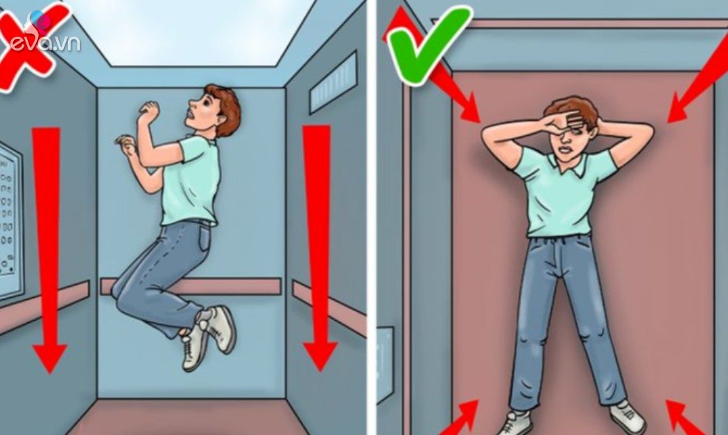 When the elevator suddenly falls freely, should you lie down or stand?  Everyone needs to know the correct answer to avoid disaster