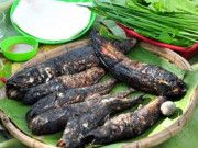 Tiêu dùng - Loại cá "nhà nghèo" xưa có đầy ngoài đồng ruộng, bắt về bán giá rẻ bèo, nay "đổi đời" 400.000 đồng/kg