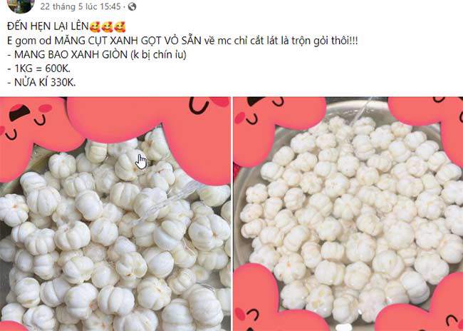 Quả măng cụt xanh có giá đắt đỏ, nhiều người tìm mua - 5