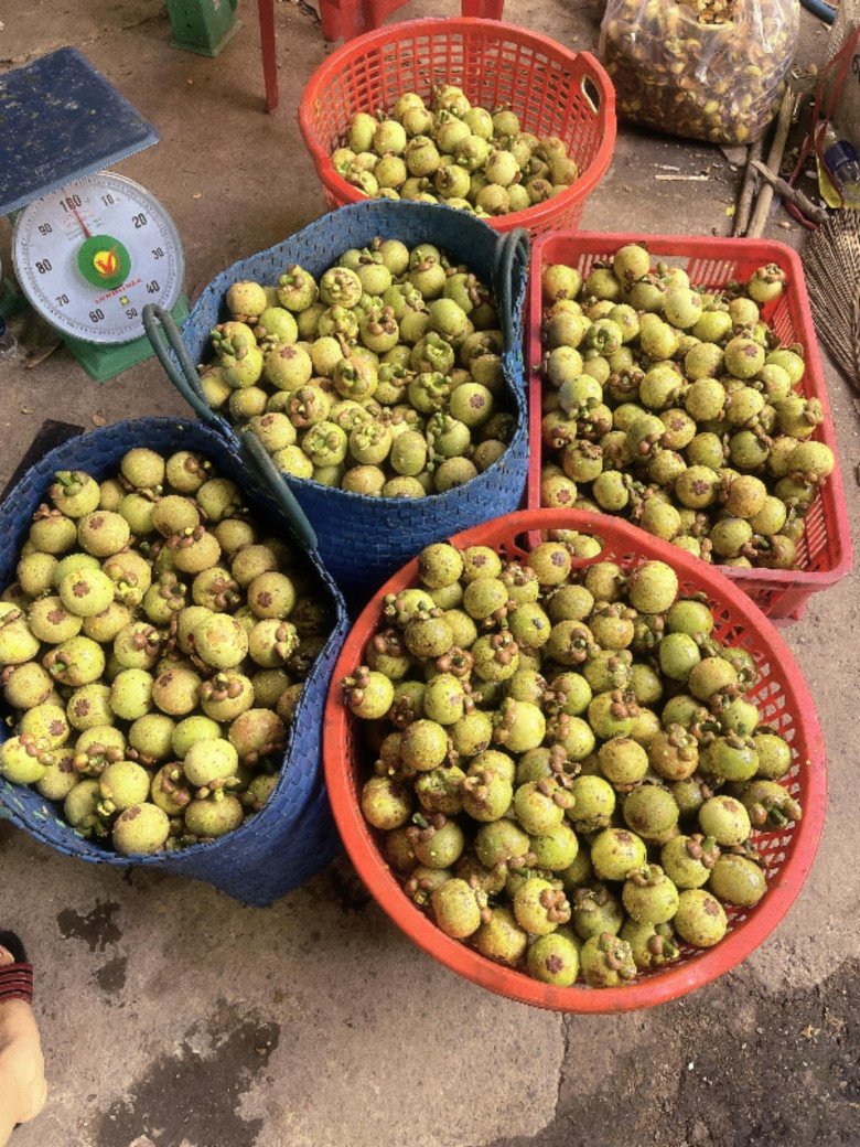 Măng cụt xanh được bán trên chợ mạng, là thứ đặc sản lạ lẫm được nhiều người tìm mua