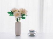 Eva tám - Người khôn ngoan có 3 điều không hỏi, 4 điều không nói