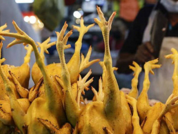 Thứ thịt gia cầm quen thuộc giờ thành món ăn đắt đỏ, người dân bấm bụng không dám mua