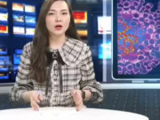 Clip Eva - Đậu mùa khỉ lây lan, Việt Nam có cần tiêm vaccine phòng bệnh?
