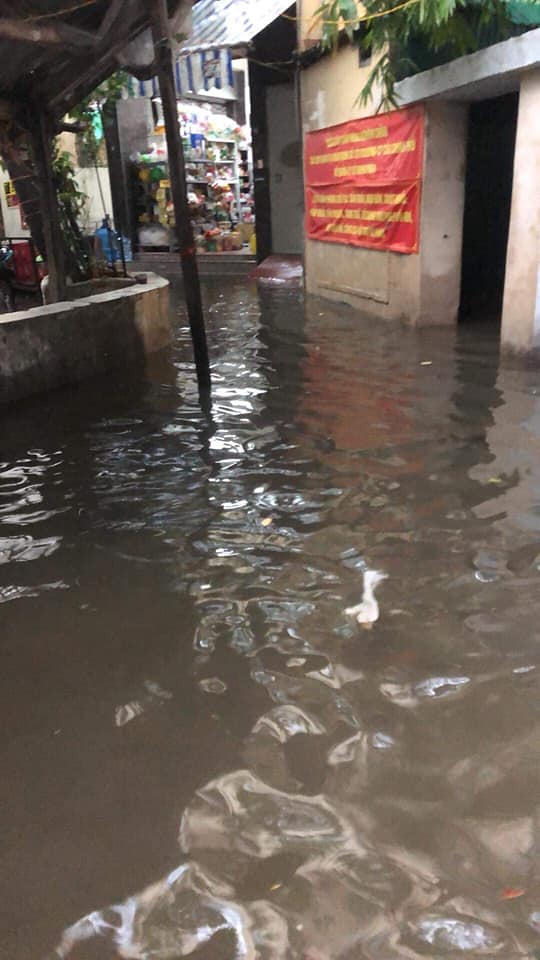 Ngõ 47, Văn Cao, Liễu Giai, Ba Đình nước ngập lênh láng, tiềm ẩn nguy cơ dịch bệnh vào mùa mưa bão