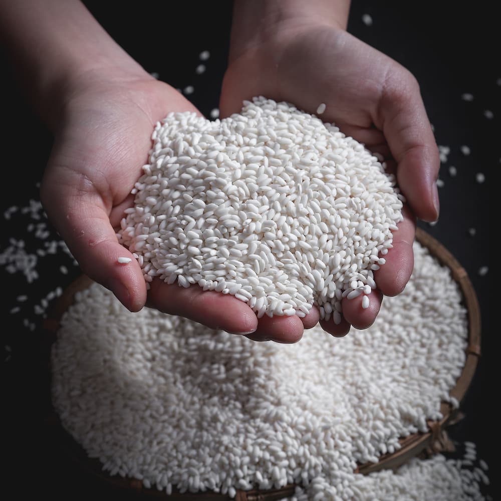Nếp cái hoa vàng là loại gạo được dùng để gói bánh tro