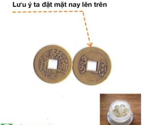 Dùng lọ muối đựng 6 đồng tiền xu theo hướng dẫn để kích hoạt tài lộc. Ảnh: Hoàng gia Việt Nam