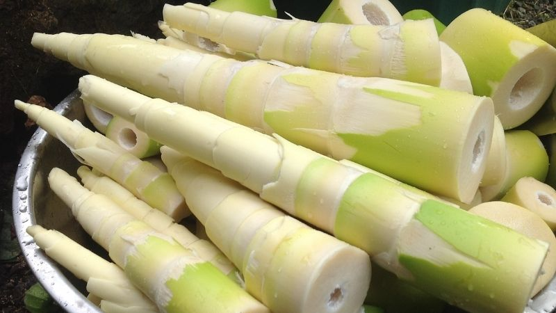 Pregnant women who eat bamboo shoots have a miscarriage?  - 5