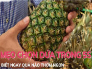 Clip Eva - Mẹo chọn dứa chín trong 5 giây biết ngay quả thơm ngon