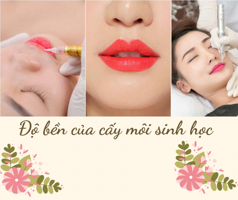 What is a biological lip implant?  What experts say about the method of removing dark lips - 15