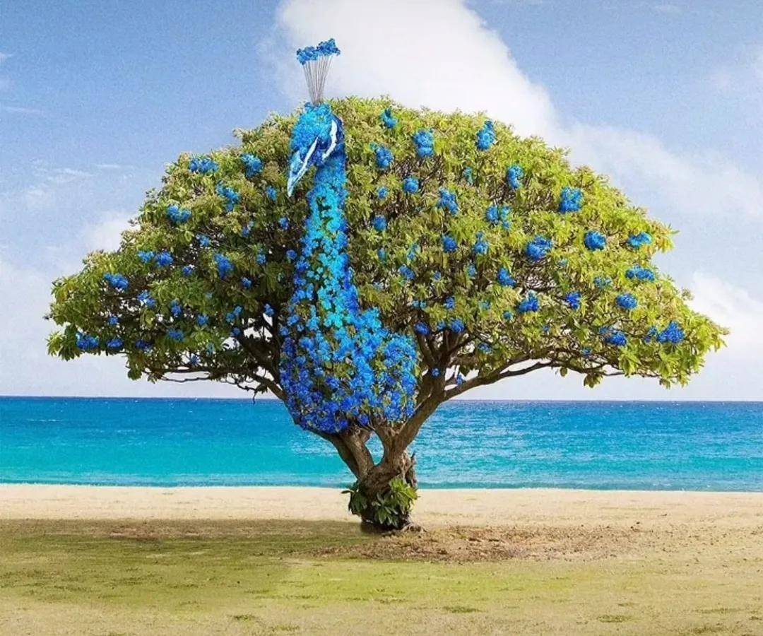 Psychological test: Do you see the first tree or peacock in the picture?  - first