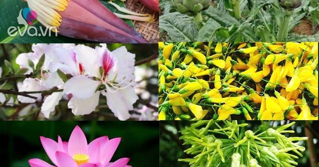 7 types of flowers used to be used for arranging, now become a specialty hunted by housewives, both delicious and good for health