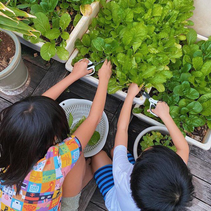 Đại gia Việt dạy con: Tăng Thanh Hà cho bé 3 tháng đọc sách, Đoàn Di Băng giấu con nhà giàu - 5