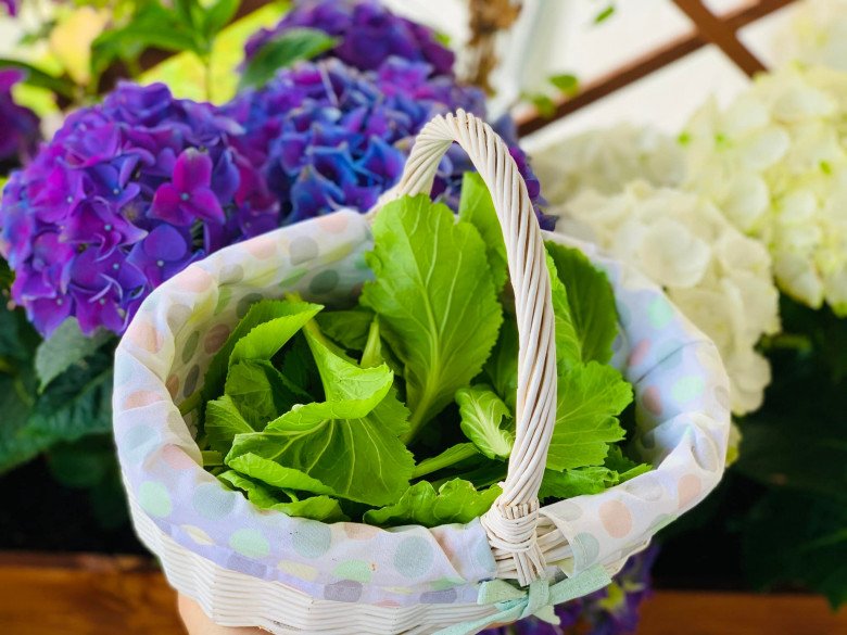 Vietnamese mother makes a tiny balcony garden of only 4m2: Every corner is beautiful and sparkling, all kinds of vegetables - 14