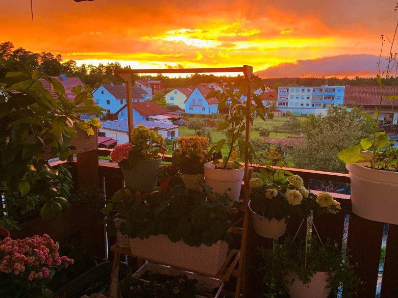 Vietnamese mother makes a tiny balcony garden of only 4m2: Every corner is beautiful and sparkling, all kinds of vegetables - 7