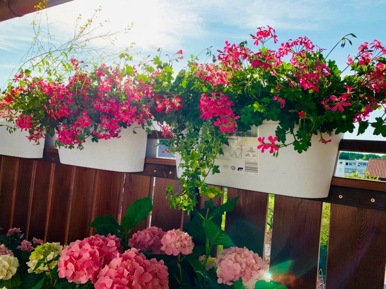 Vietnamese mother makes a tiny balcony garden of only 4m2: Every corner is beautiful and sparkling, with all kinds of vegetables - 8