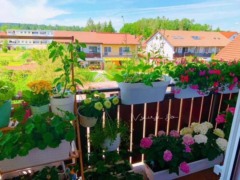 Vietnamese mother makes a tiny balcony garden of only 4m2: Every corner is beautiful and sparkling, all kinds of vegetables - 9