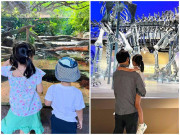 Làm mẹ - Vợ chồng Hoa hậu Đặng Thu Thảo đưa hai con du lịch nước ngoài, bé gái ấn tượng vì chân dài miên man