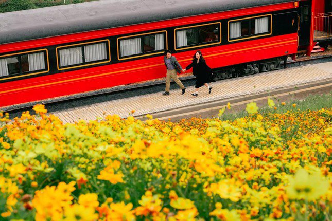 Brand new check-in location in Da Lat: The scene of the train in the middle of a flower field as beautiful as the European sky - 10