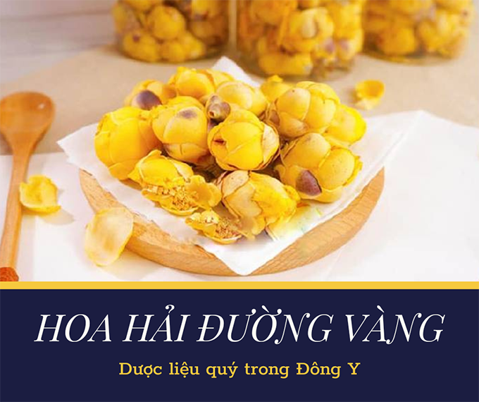 Hoa hải đường: ý nghĩa, cách trồng và cách chăm sóc để cây ra nhiều hoa - 5