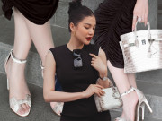 Thời trang - Không phải Lệ Quyên hay Đoàn Di Băng, thôn nữ Tây Ninh sở hữu nhiều túi cá sấu bạch tạng nhất