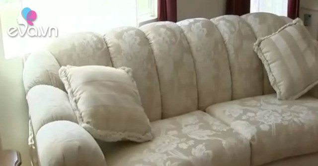 Bought an old sofa and found it cluttered inside, the woman was stunned when she zipped it up