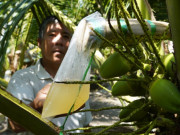 Tin tức - Nghề cực lạ ở Việt Nam: Thu nhập cao mà ít người làm, thứ thu được là đặc sản nổi tiếng cả một vùng