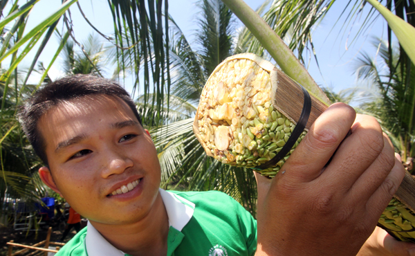 Very strange job in Vietnam: High income but few people do, what is obtained is a famous specialty of the whole region - 8