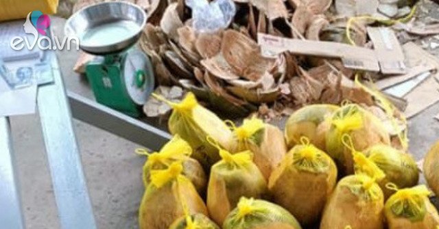 The old fruit that no one picked, no one bought for sale, is now a specialty of 300,000 VND/fruit, but people with money may not be able to buy it.