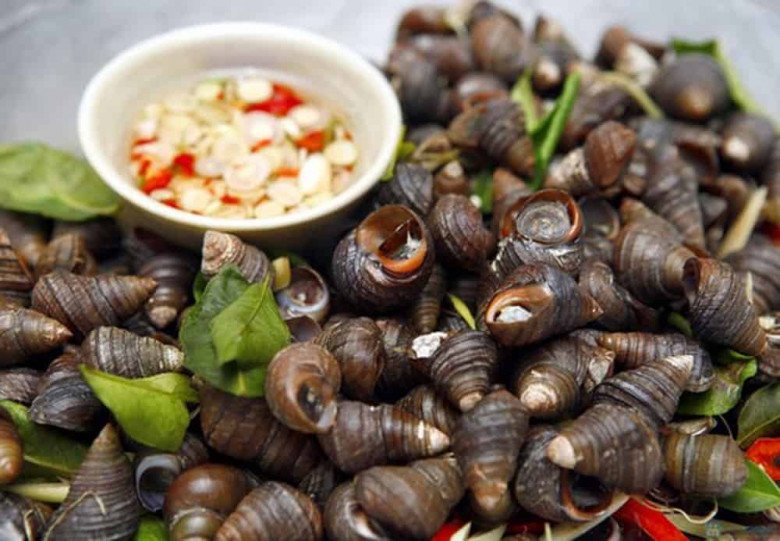 Pregnant mother eats a lot of snails, later the baby gives birth to a lot of drooling?  - 4