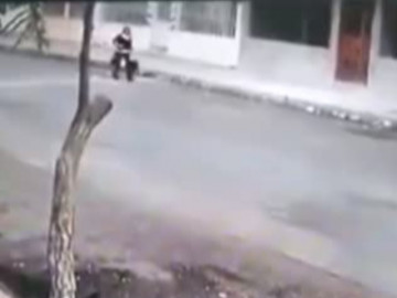  Clip: Giật túi xách giữa phố, tên cướp bị 2 chú chó truy đuổi 