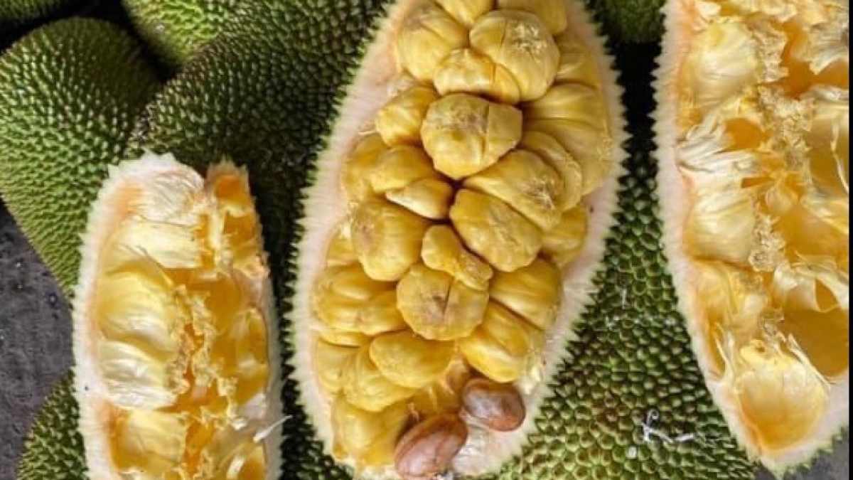 Loại quả xưa có đầy ở Đồng Nai, giờ thành đặc sản nổi tiếng, vừa ngon vừa thơm, 70.000 đồng/kg