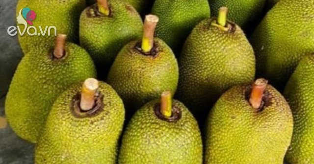 Very strange job in Vietnam: Smelling jackfruit every day earn millions of dong, always thirsty for workers