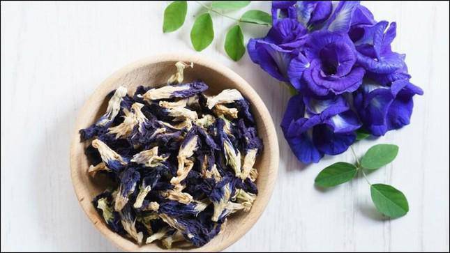 Sai lầm amp;#34;chết ngườiamp;#34; khi dùng hoa đậu biếc làm nước uống - 2