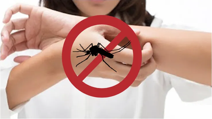 Cách phòng chống sốt xuất huyết ở trẻ em tại nhà như thế nào? - 1