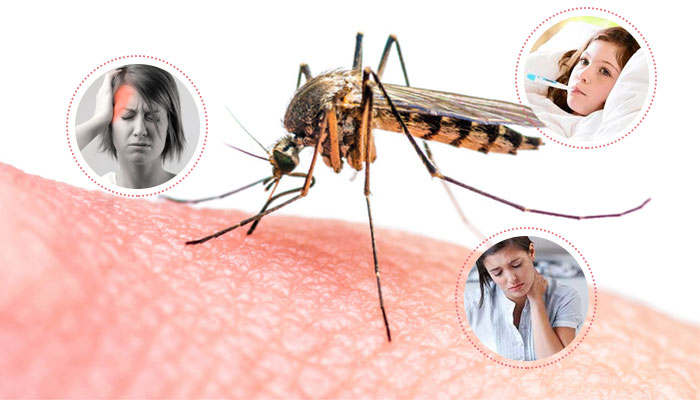 Cách phòng chống sốt xuất huyết ở trẻ em tại nhà như thế nào? - 4