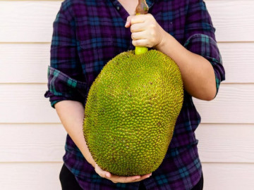 Bà bầu ăn mít được không? Ăn bao nhiêu là đủ?